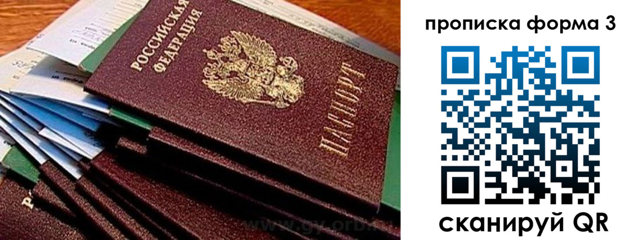 прописка иностранных граждан в Сергиевом Посаде